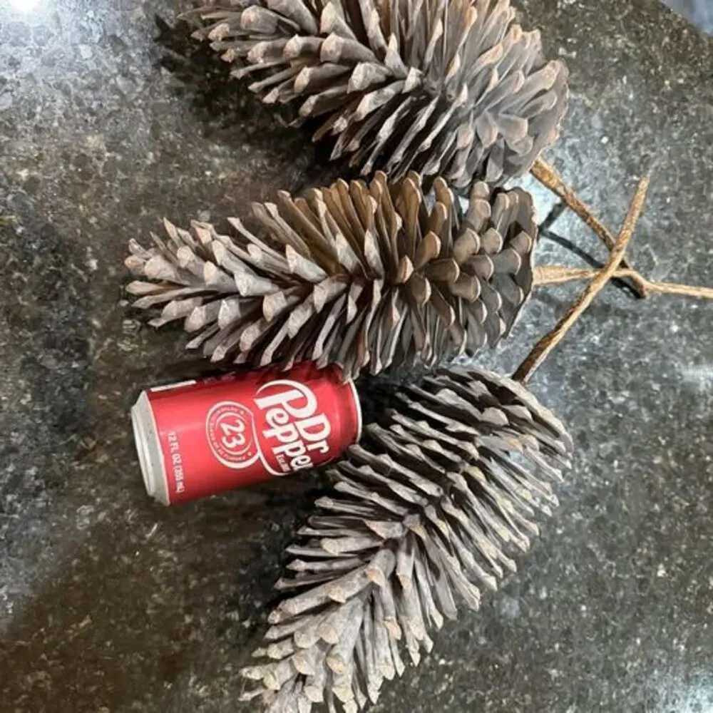Holiday Christmas Pinecones